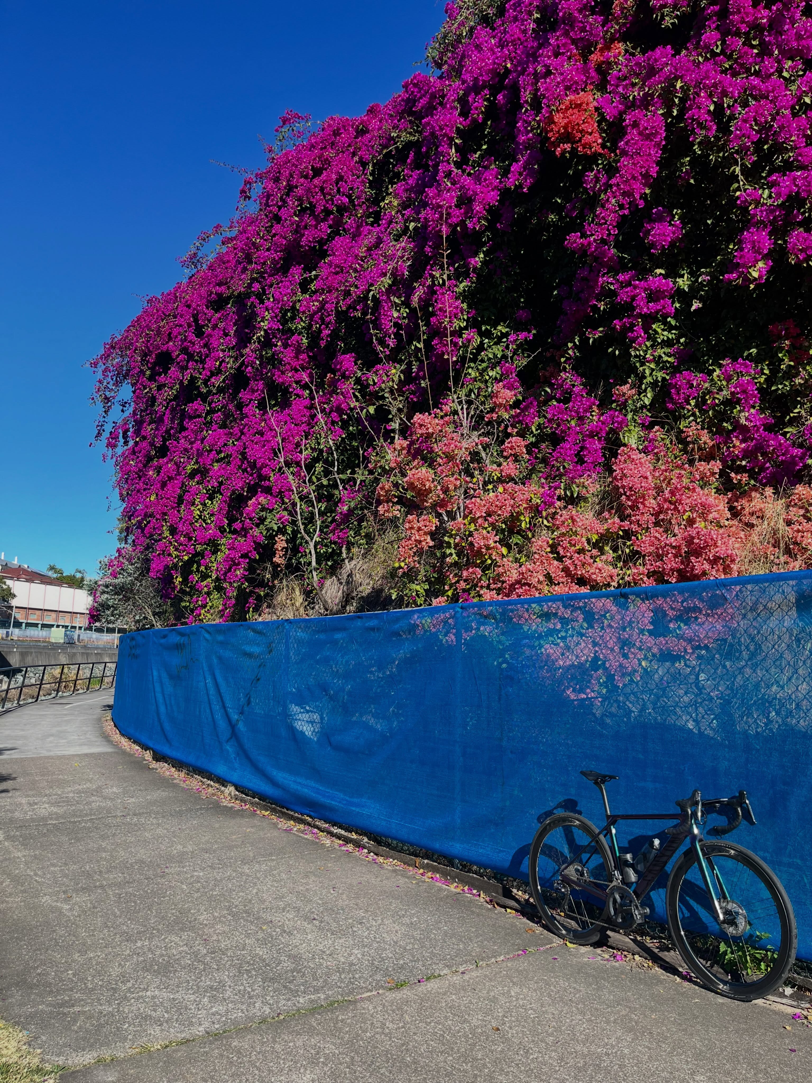 Located at the new Olympic Stadium grounds. #cycling #bicycle